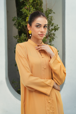 Beige Solid 2-Piece Shirt & Trouser Set